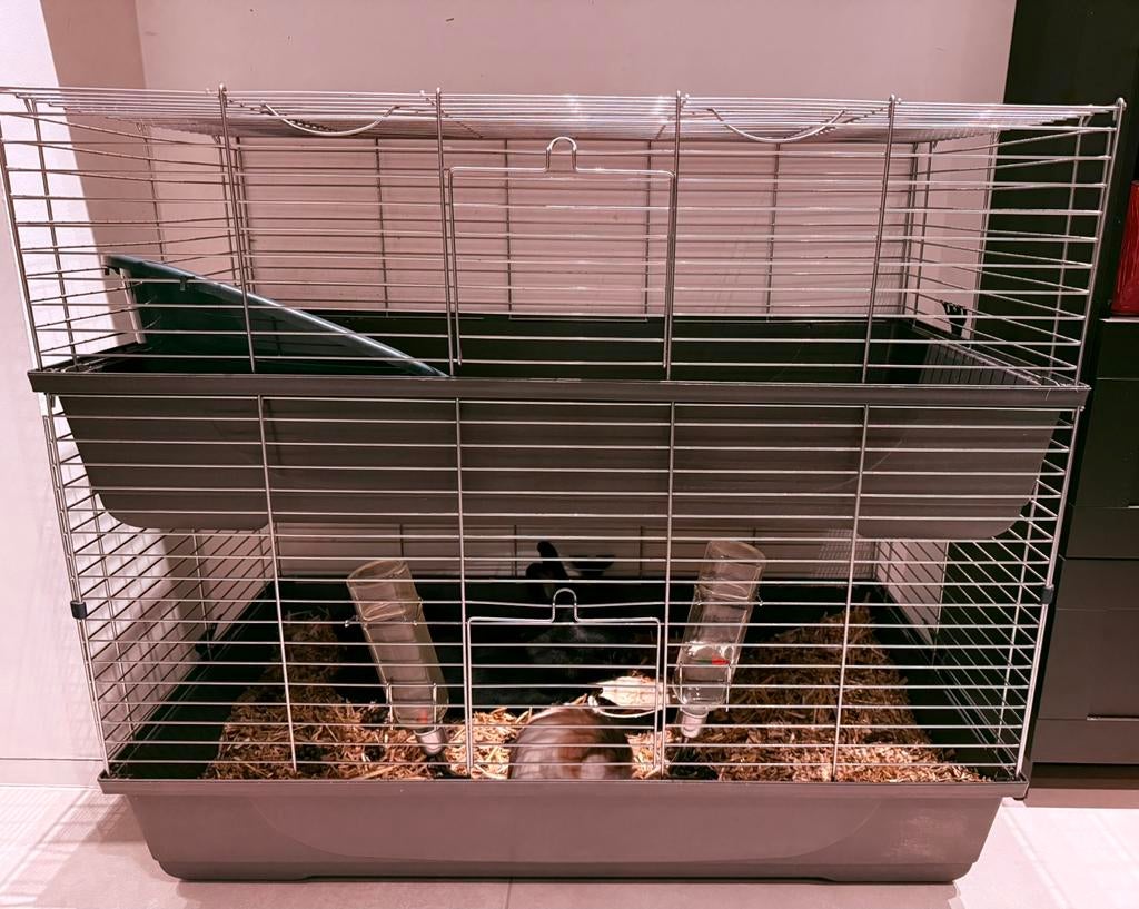 Nijntje & Swiffer, Enlèvement, Comme neuf, Lapin