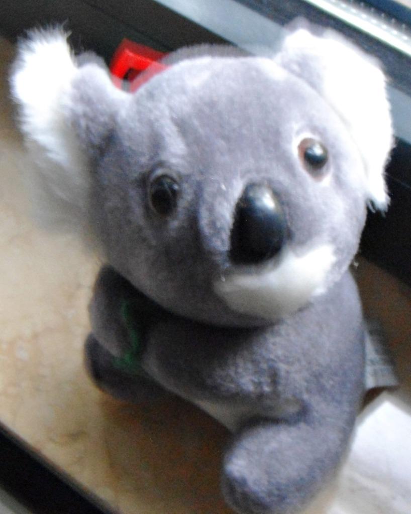 Peluche de koala tenant une feuille, 15 cm, NEUF, Overige merken, Overige karakters, Beer, Grijs