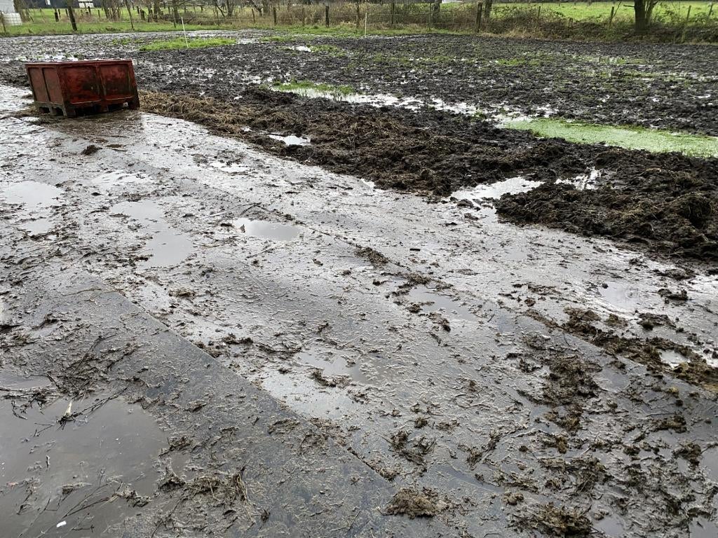 slijk beu/rubbermatten leggen, Weidegang