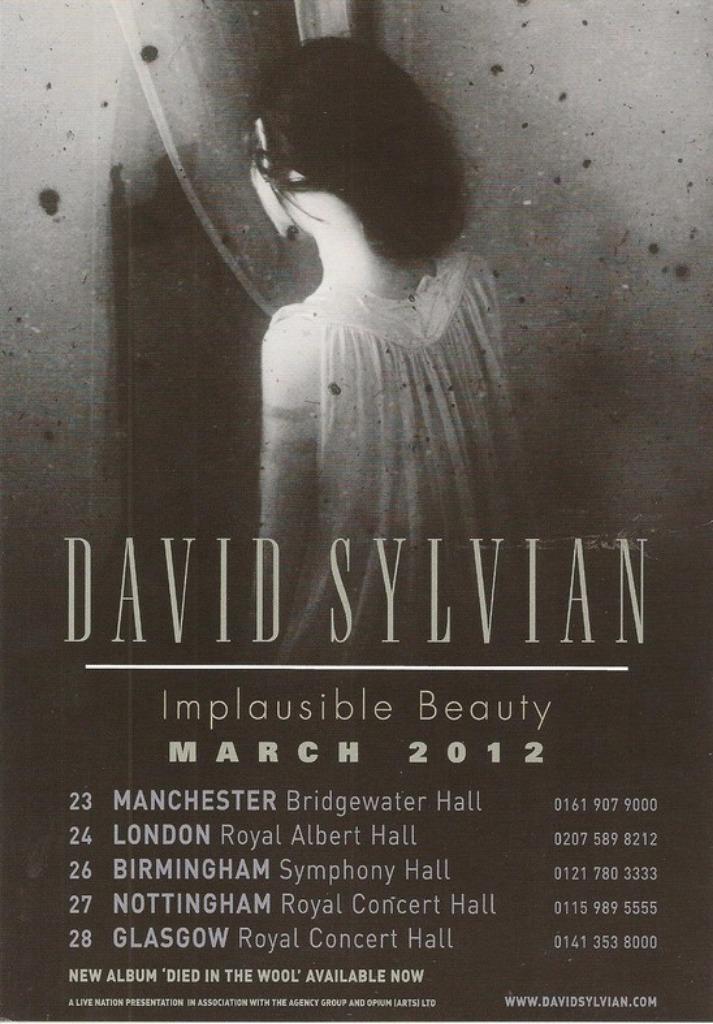 DAVID SYLVIAN - " IMPLAUSIBLE BEAUTY " UK TOUR PROMO FLYER, Verzenden, Nieuw, Overige typen