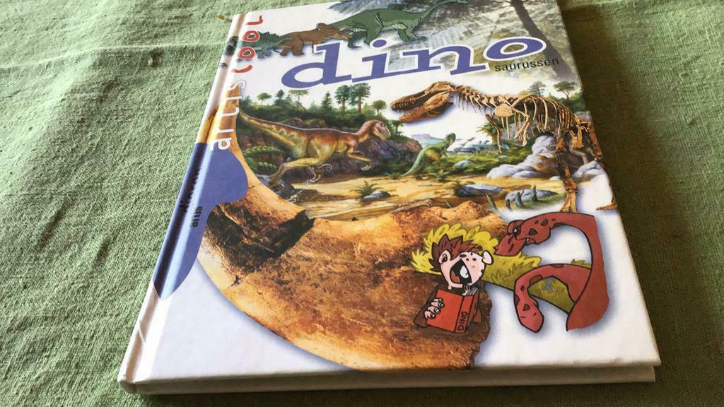 Artiscool (n), Collections, Enlèvement ou Envoi, Comme neuf