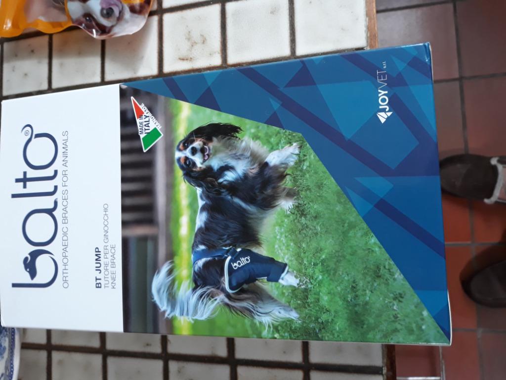 Knie braze rechts voor klein hondje, Dieren en Toebehoren, Ophalen, Nieuw