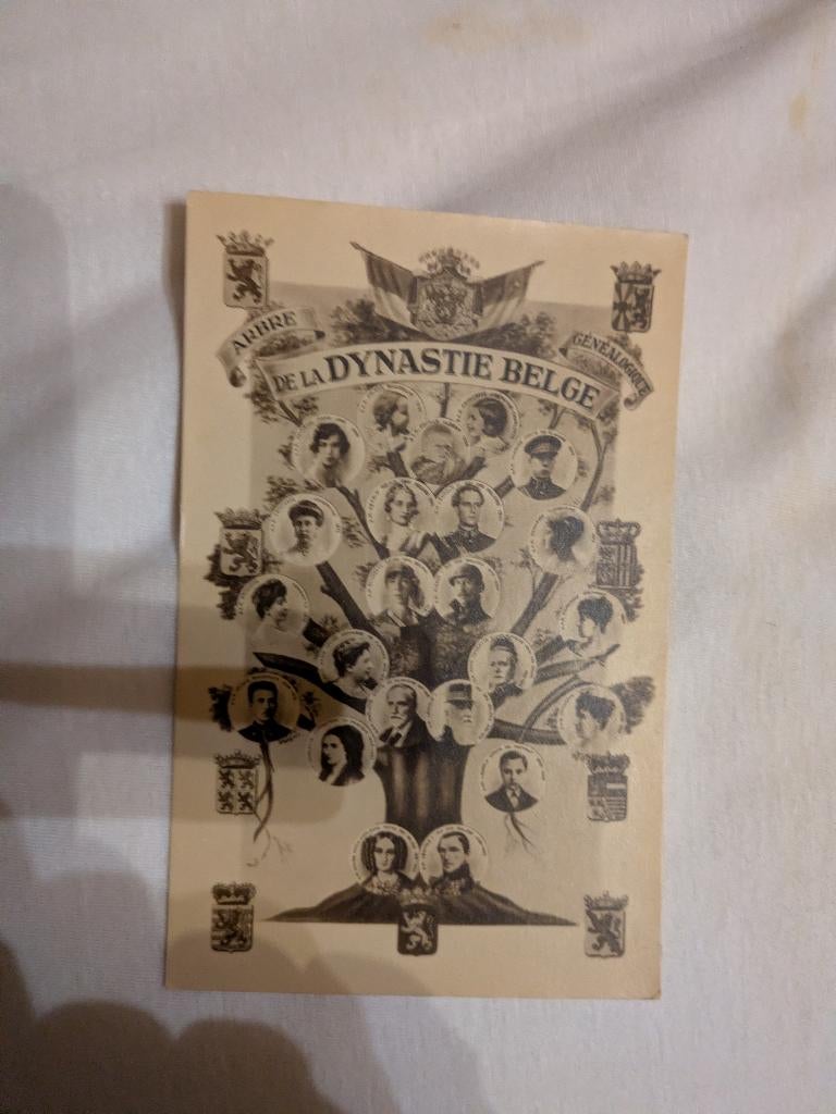 Arbre de la dynastie Belge, Collections, Enlèvement ou Envoi, Comme neuf, Carte, Photo ou Gravure