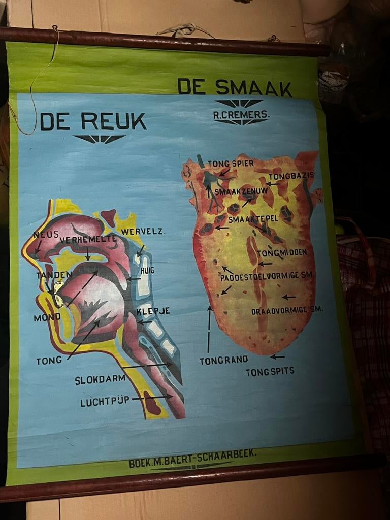 Oude leskaart De Reuk & De Smaak, Ophalen of Verzenden, Zo goed als nieuw