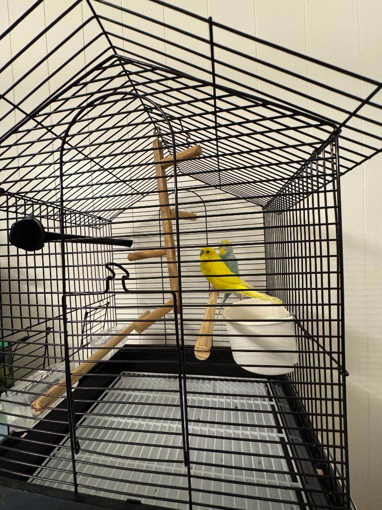 VOGELKOOI TE KOOP, Tuin en Terras, Vogelhuisjes en Vogelbaden, Ophalen, Zo goed als nieuw
