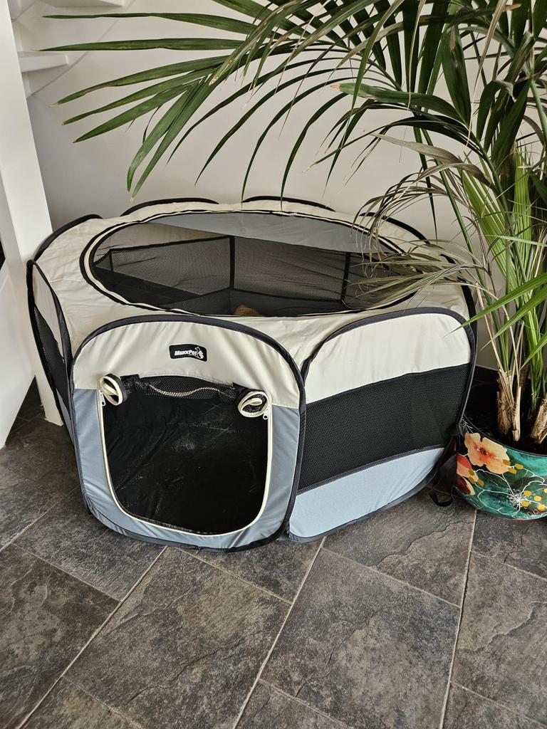 Honden bench nieuw in doos heel mooi en handig, Dieren en Toebehoren, Ophalen, 100 cm of meer, Minder dan 75 cm, Nieuw
