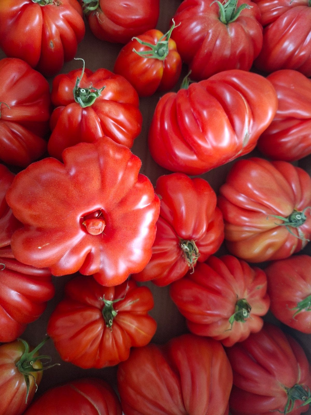 Soeptomaten coeur de boeuf, Tuin en Terras, Bloembollen en Zaden, Ophalen