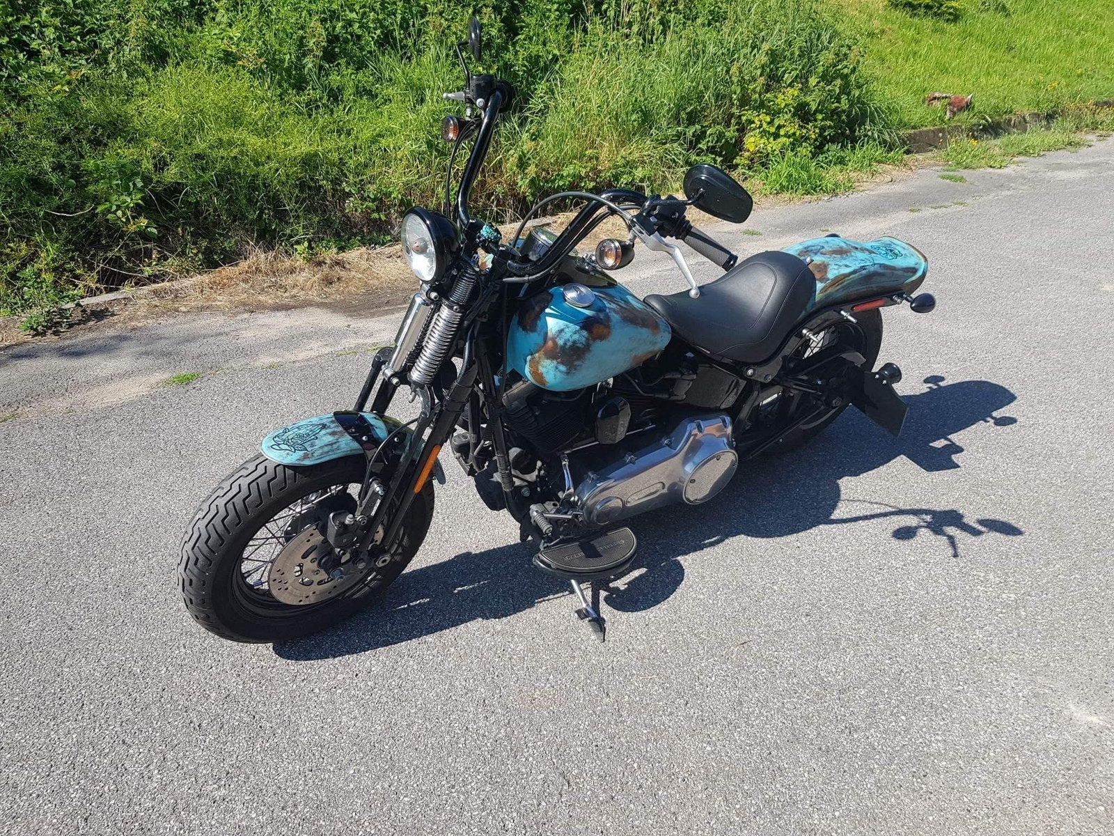 Harley Springer Cross Bones, Particulier