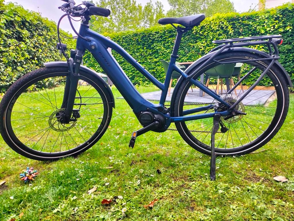 Elektrische trekking fiets, Fietsen en Brommers, Ophalen, Giant