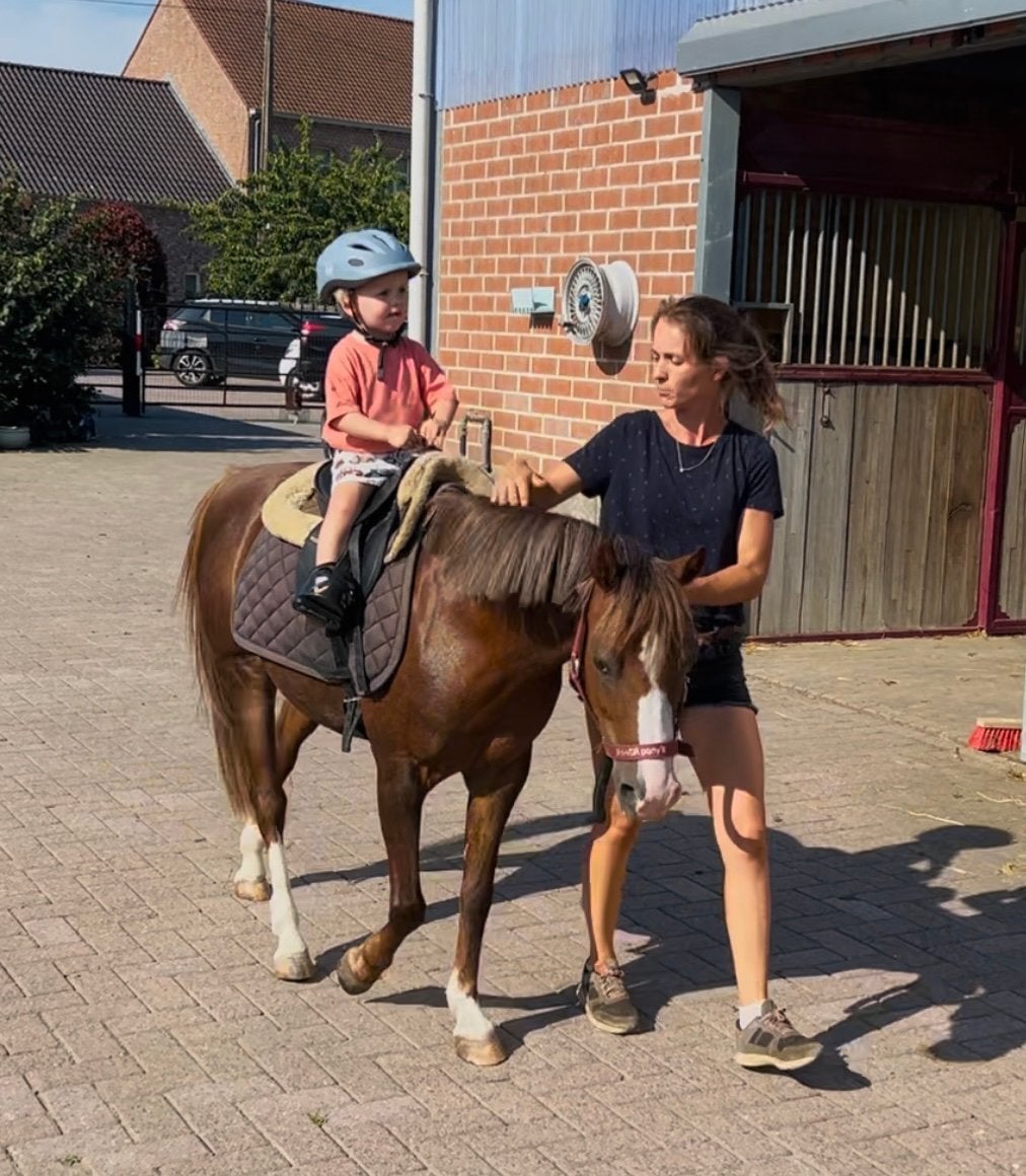 Lieve kinderpony, Dieren en Toebehoren, Merrie, B