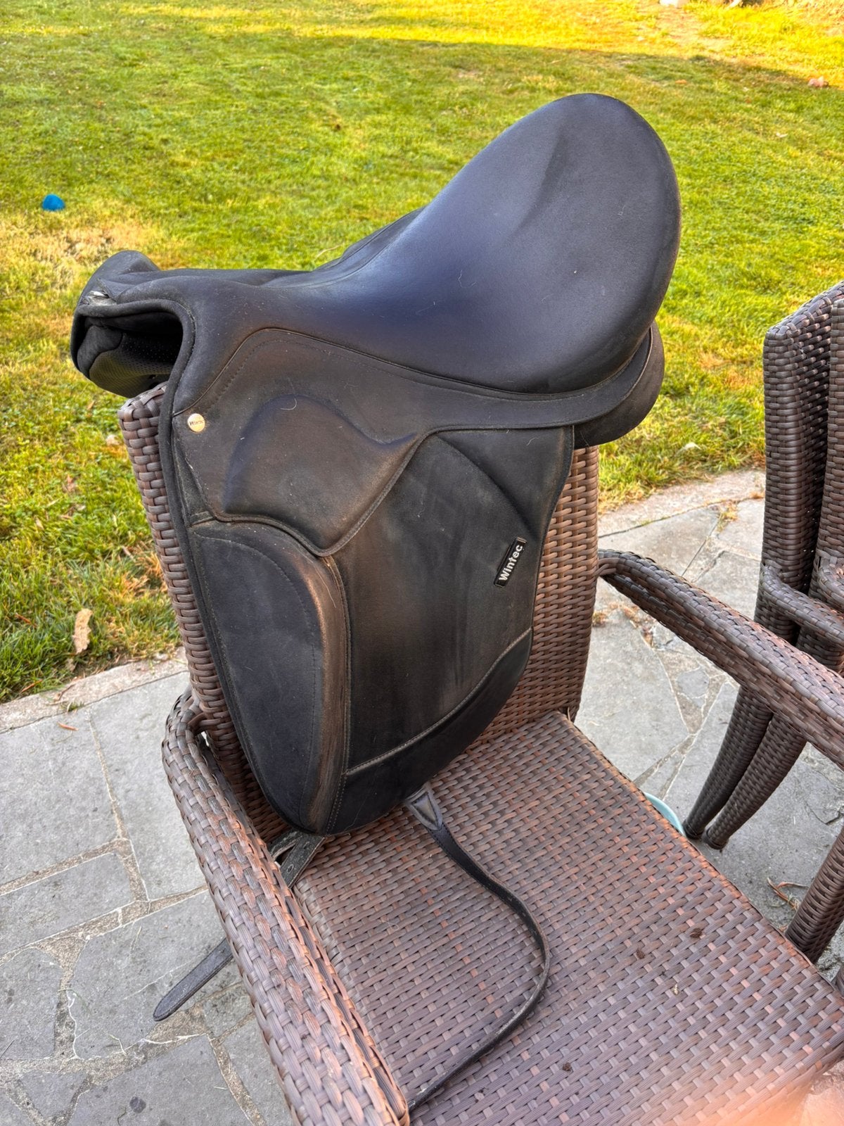 Wintec pro dressuur contourbloc, Arçon réglable, Siège semi-creux, L (17.5 pouces), Wintec