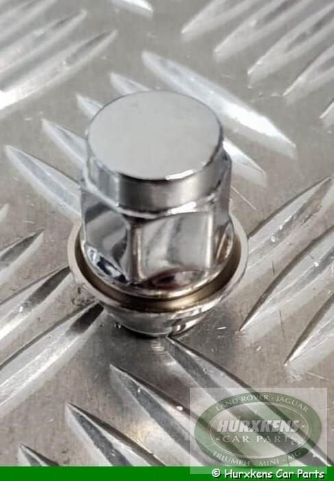 Wielmoer 8 spaaks voor Mini Classic, Neuf, -, -, -
