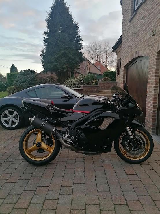 TRIUMPH 955i DAYTONA 2006, Motoren, 3 cilinders, Meer dan 35 kW, 955 cc, Sport
