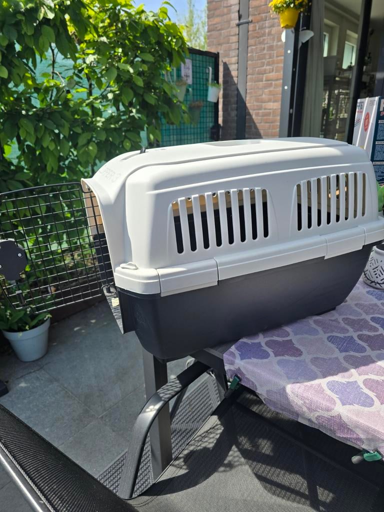 Boîte de transport robuste pour chiens ou chats, Animaux & Accessoires, Enlèvement