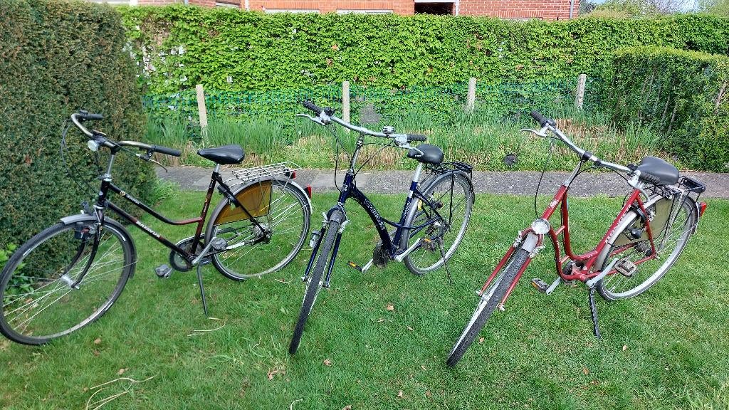 damesfietsen, Fietsen en Brommers, Ophalen, Gebruikt, Velgrem, Versnellingen