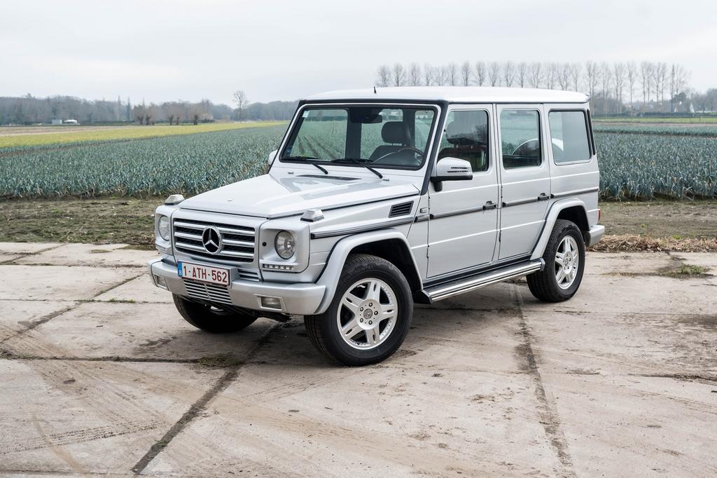 Mercedes G400 CDI - Cargo léger, Cuir, Argent ou Gris, Achat, 2 places