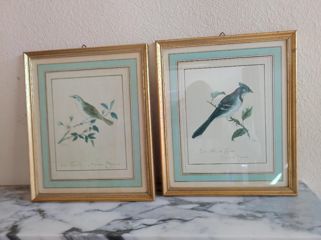 Impressions d'oiseaux encadrées, Avant 1940, Gravure, Comme neuf, Enlèvement