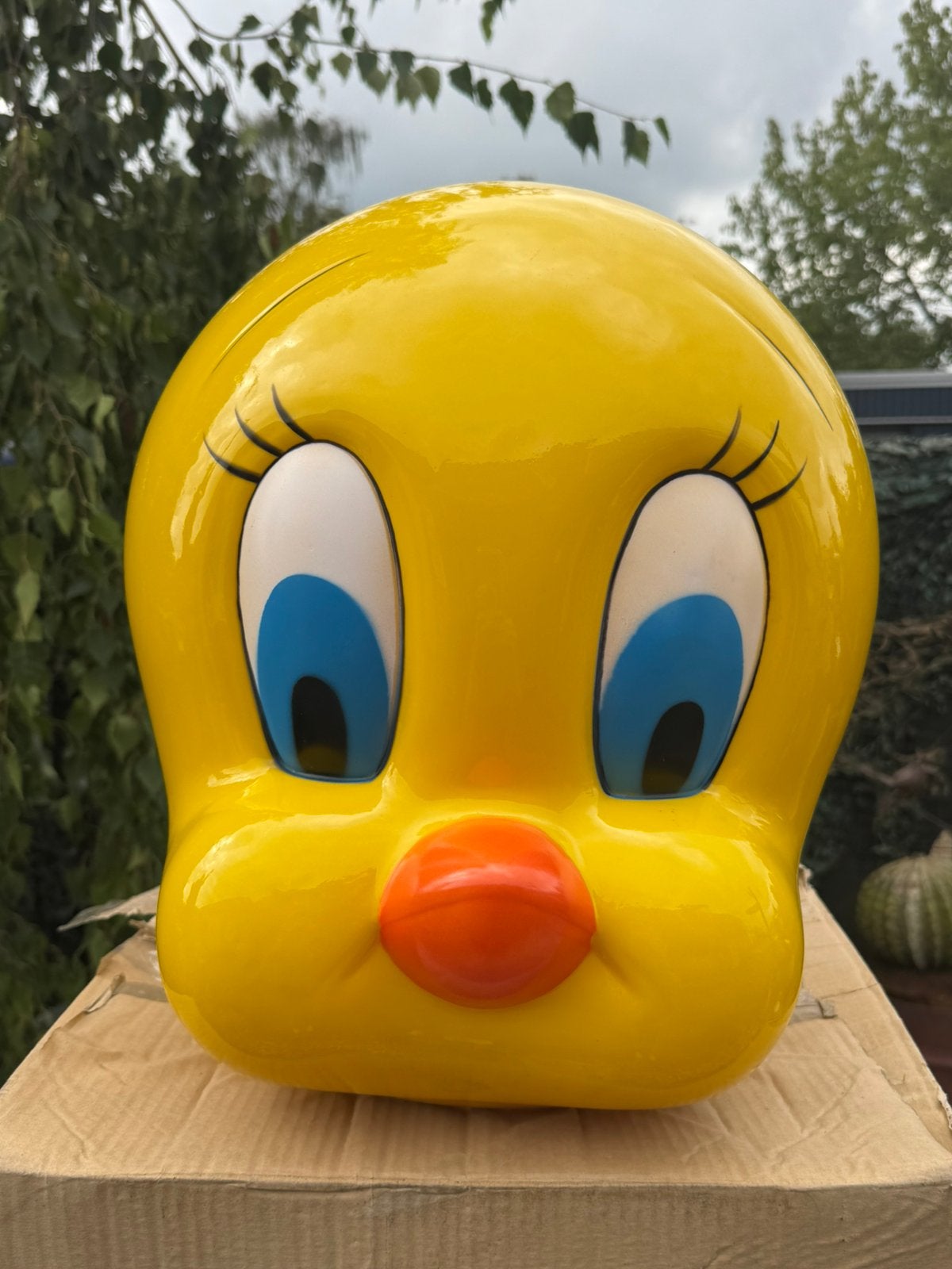 Image de la tête de Tweety Looney Toones, Statue ou Figurine, ., Looney Tunes, Enlèvement