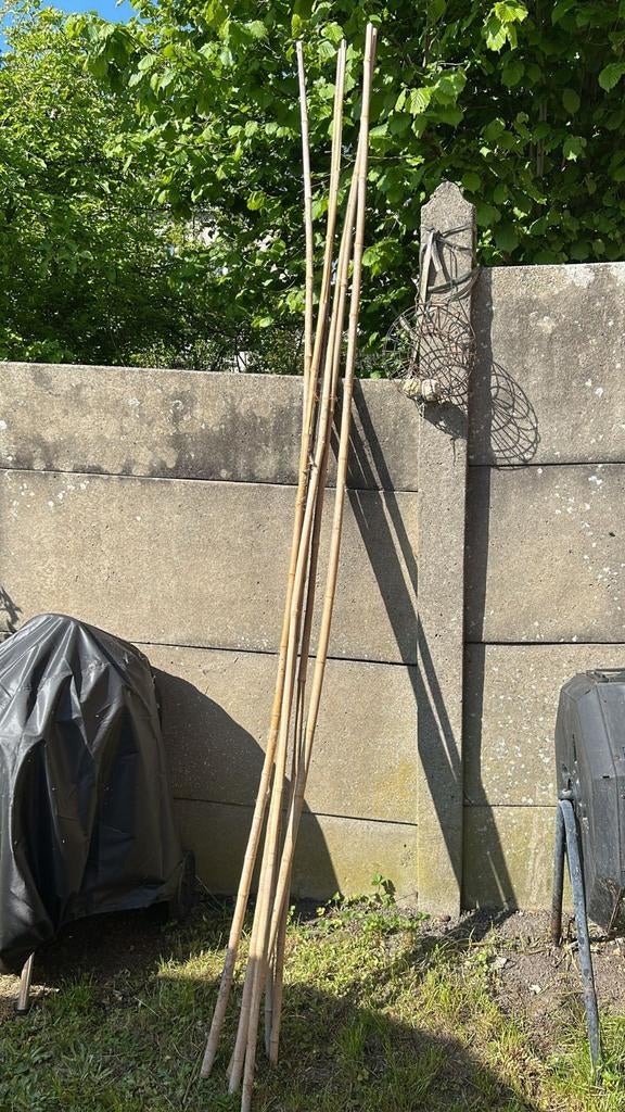 Tuteur bamboo, Enlèvement