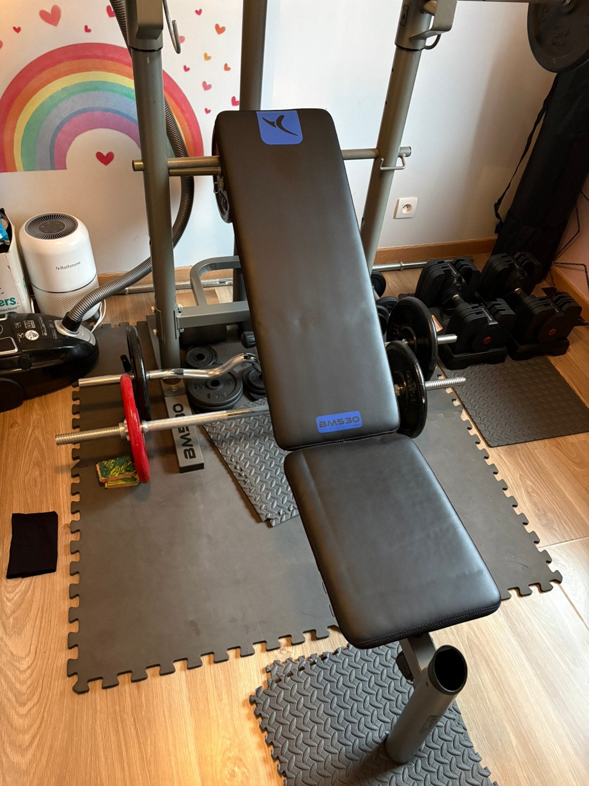 Domyos BM530 + 100kg schijven + verstelbare halters 24kg + …, Enlèvement, Comme neuf