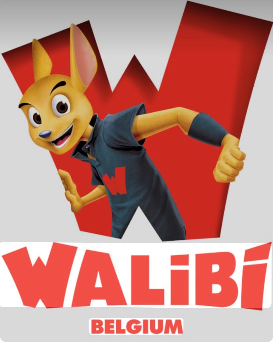 Billet Walibi Belgium 1p, Tickets & Billets