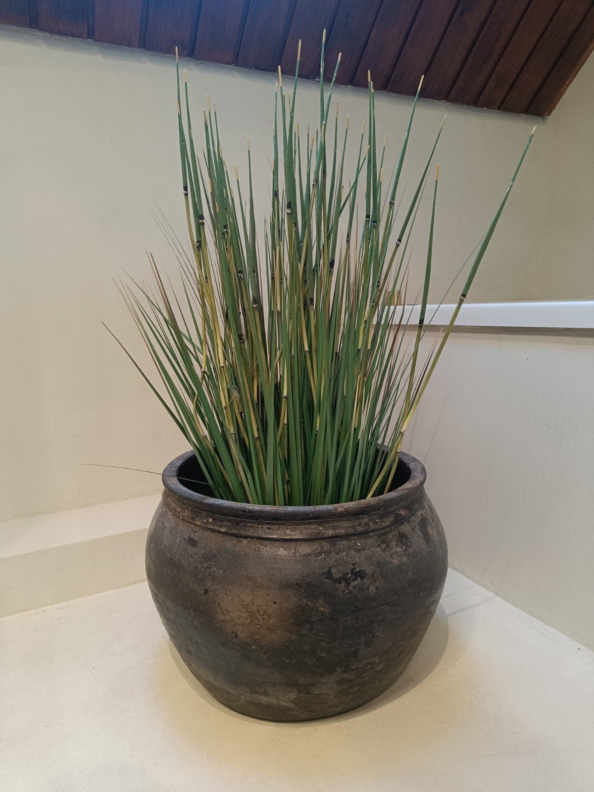 Kunstplant met pot, Tuin en Terras, Ophalen