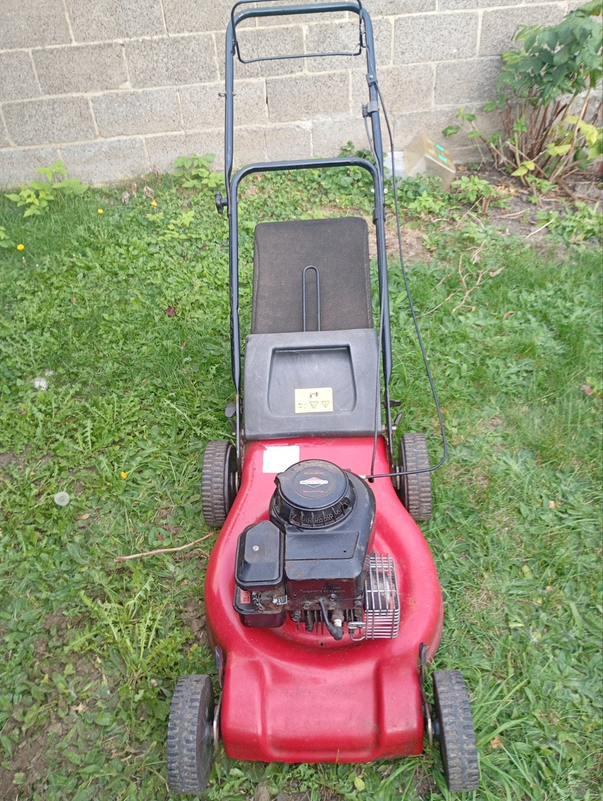 tondeuse à gazon Briggs & Stratton, Jardin & Terrasse, Enlèvement