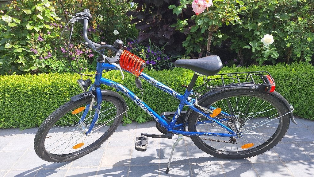 Alpina jongensfiets, Fietsen en Brommers, Ophalen, Velgrem, Alpina, Versnellingen