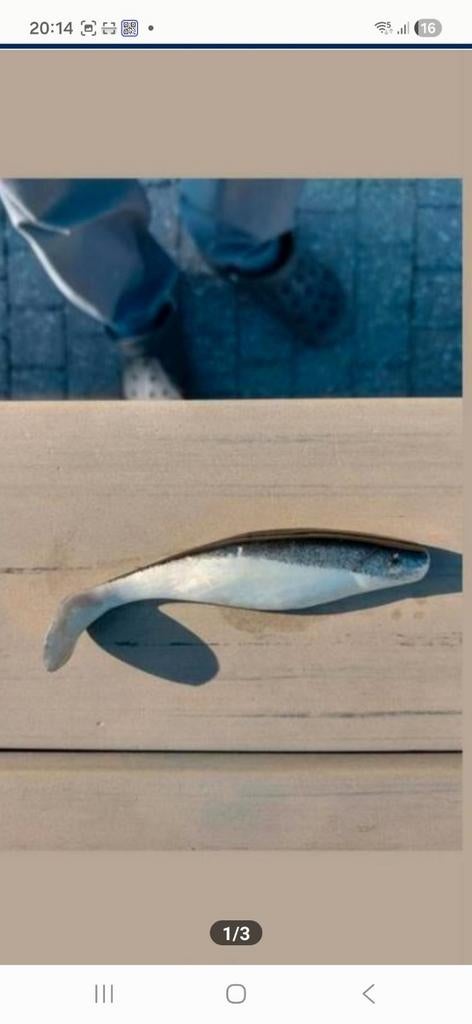 Shads 12 cm voor roofvis, Ophalen