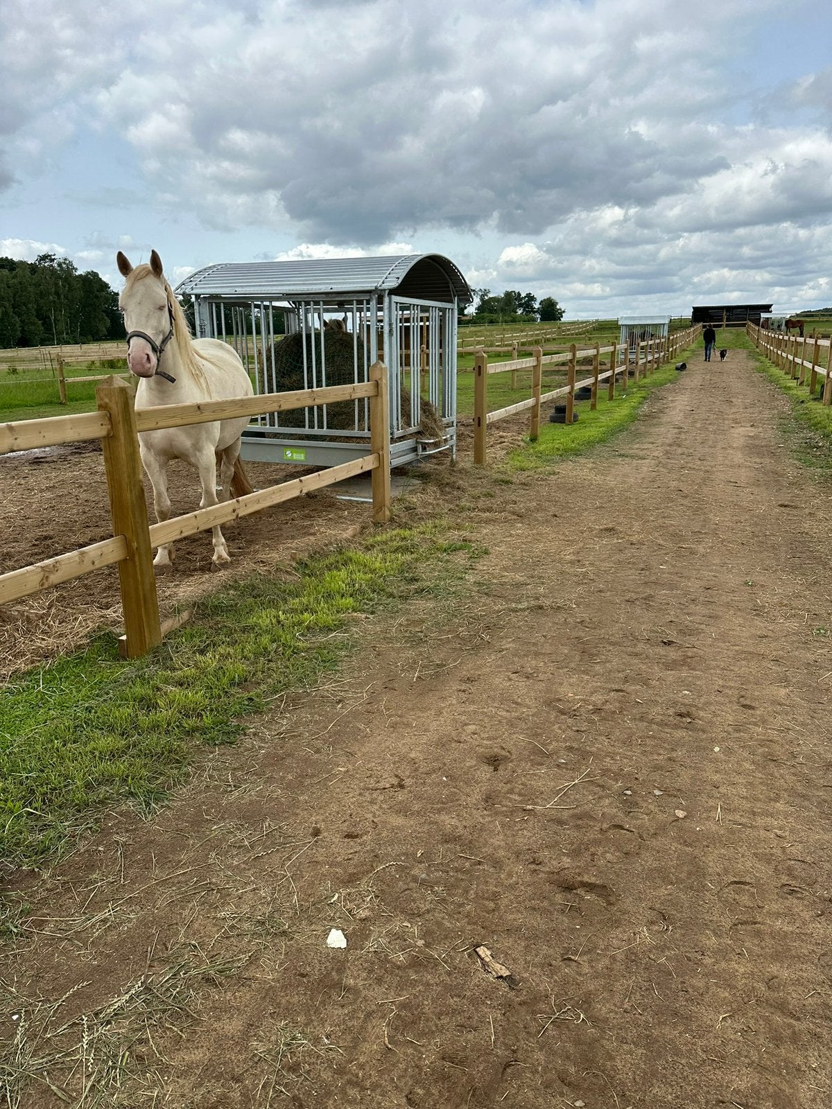 Hooiruif 2x2 meter, Dieren en Toebehoren