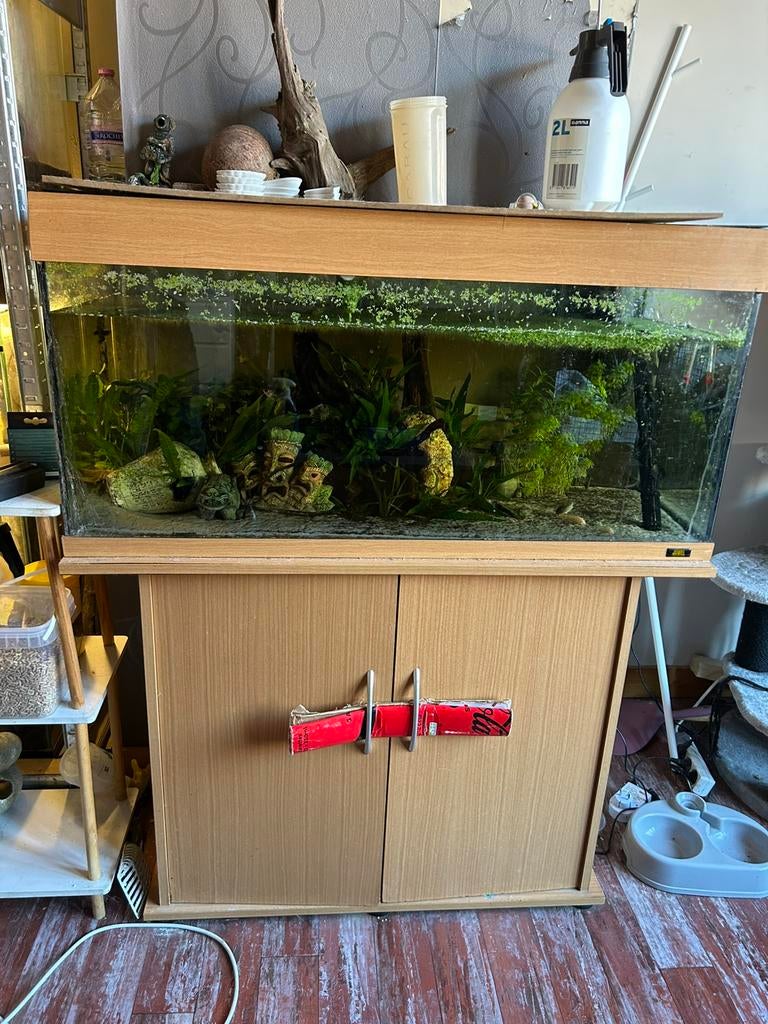 Aquarium + kast, Ophalen, Gebruikt, Leeg aquarium, JBL
