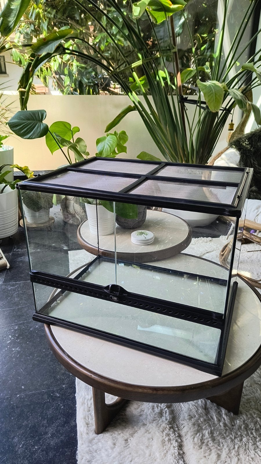 Exo Terra terrarium 60 x 45 x 45, Animaux & Accessoires, Enlèvement