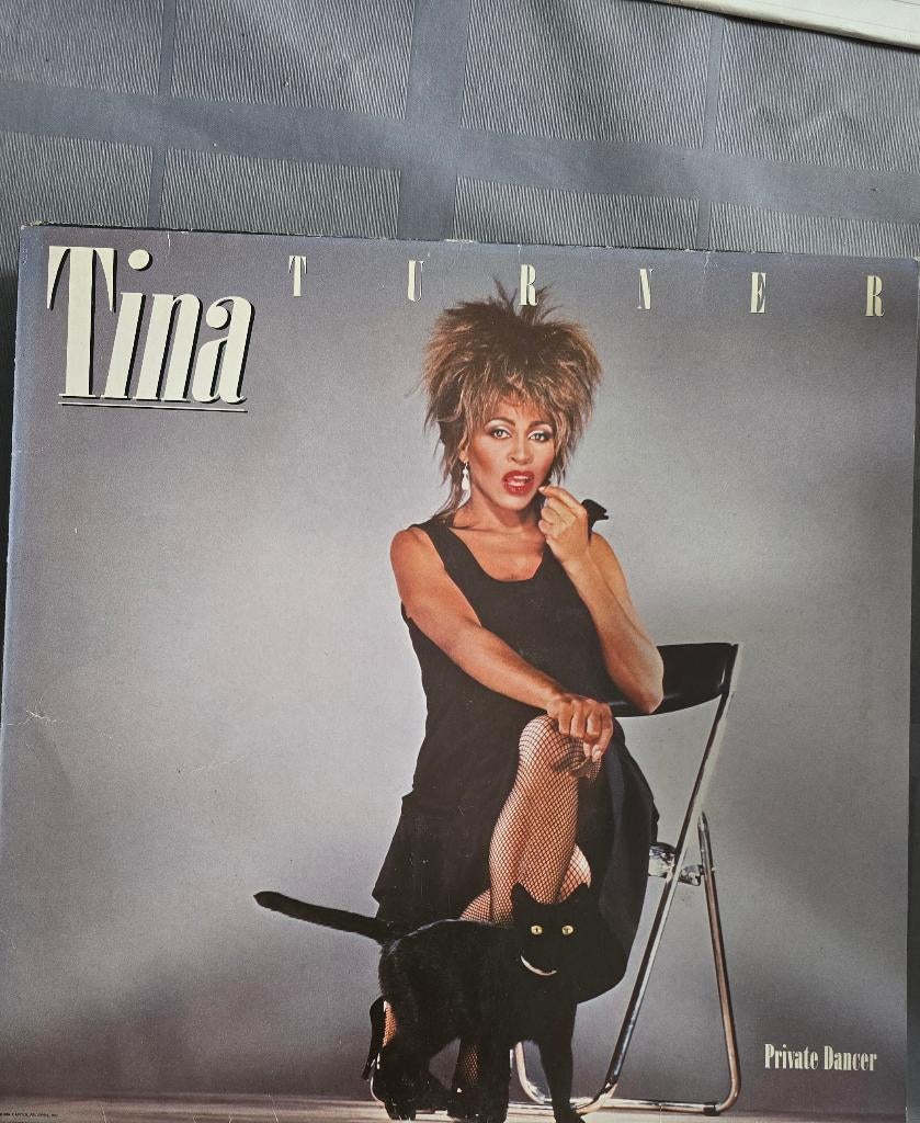 Titel: Tina Turner  Private Dancer (Vinyl LP), Ophalen of Verzenden, Gebruikt