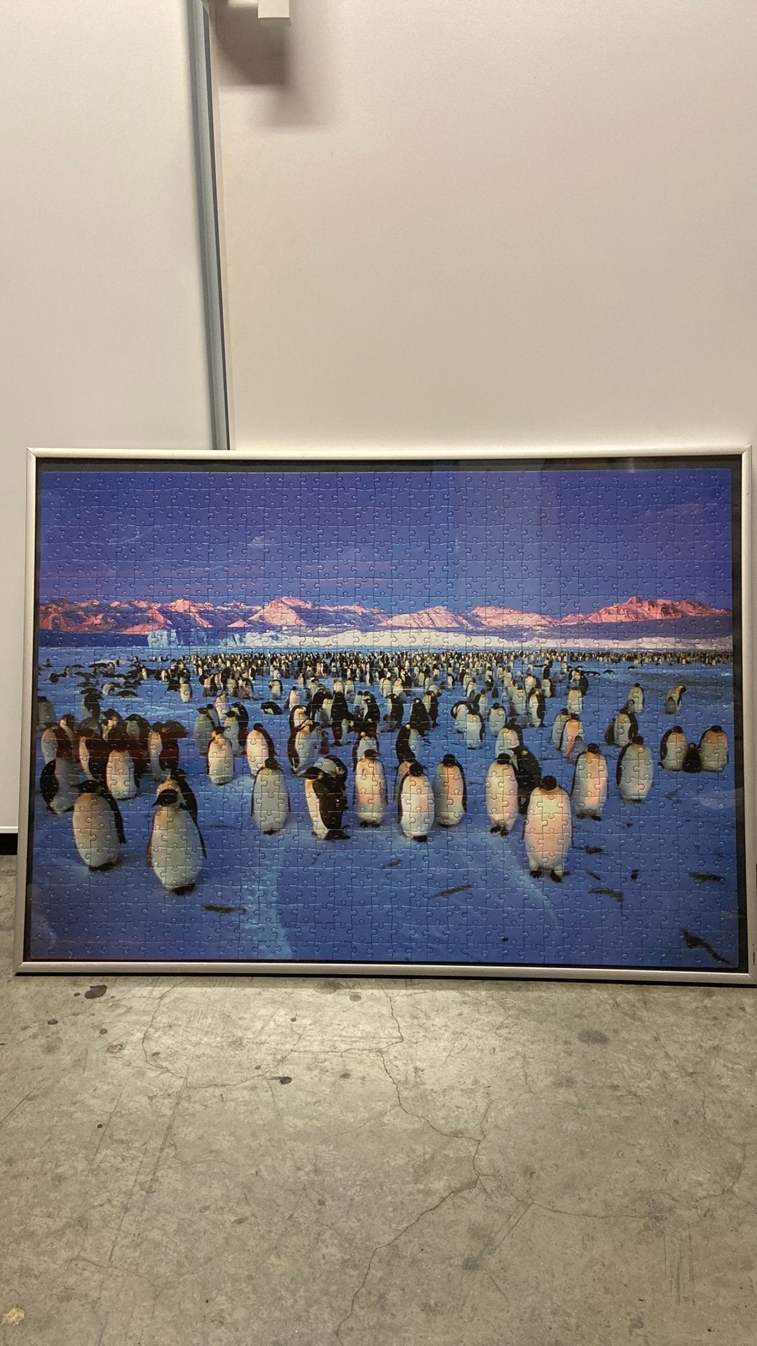 Puzzel in kader, Enlèvement