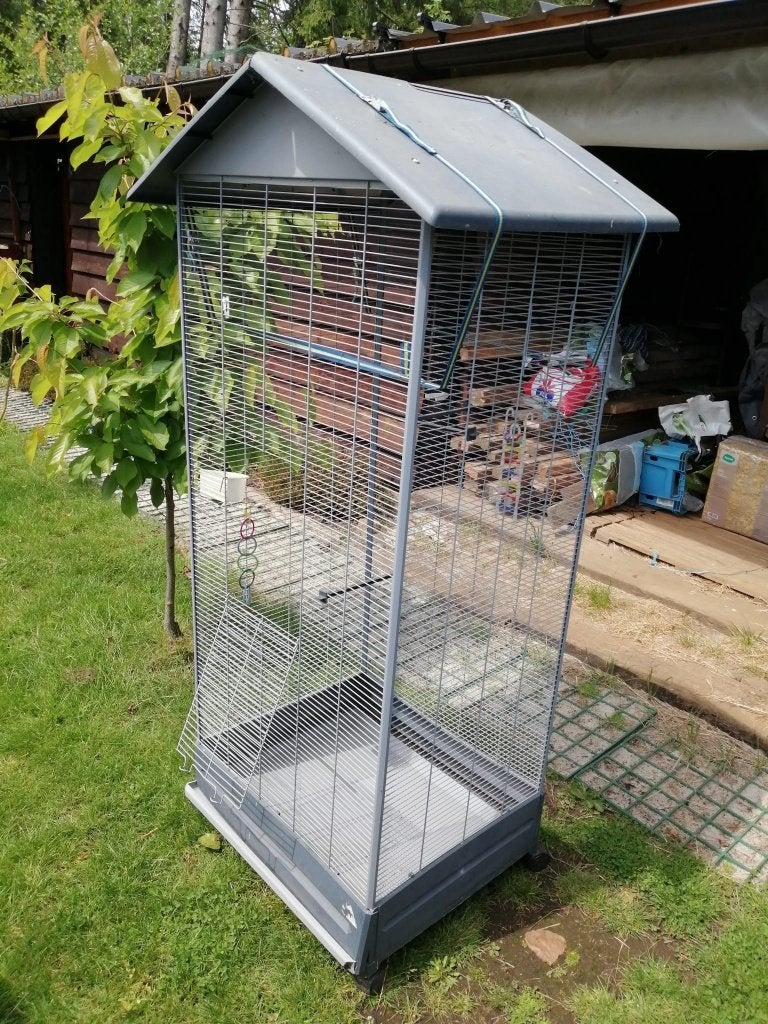 grote vogel/papegaaikooi, Dieren en Toebehoren