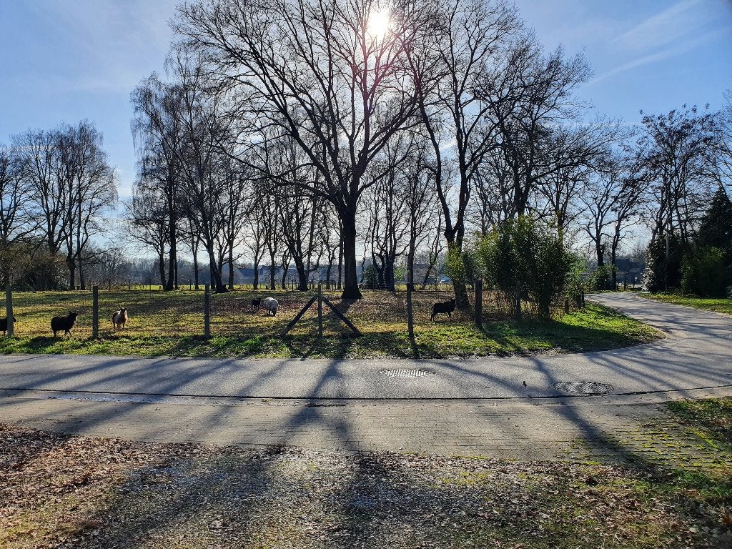 2 half open bouwplaatsen, Zonhoven, 1500 m² of meer