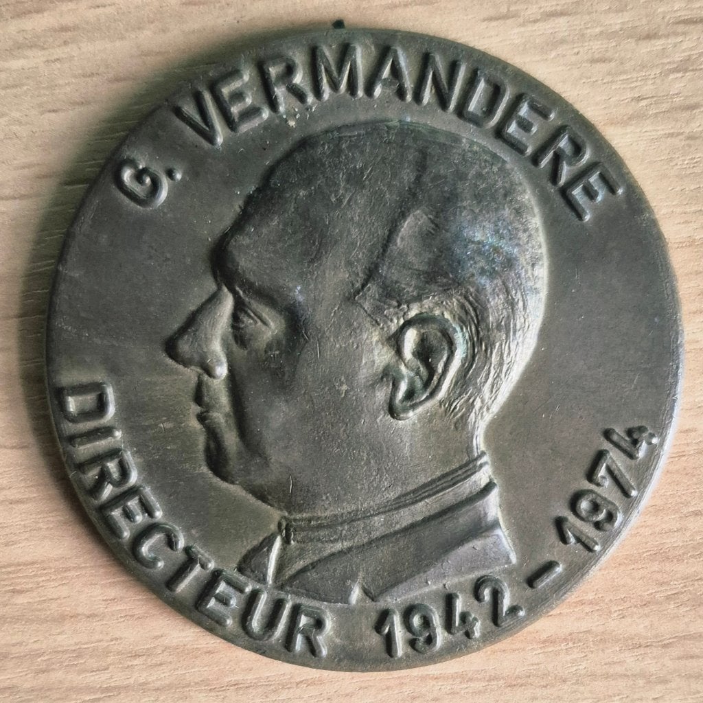 Bronzen herdenkingsmedaille TSM, Ophalen of Verzenden, Brons