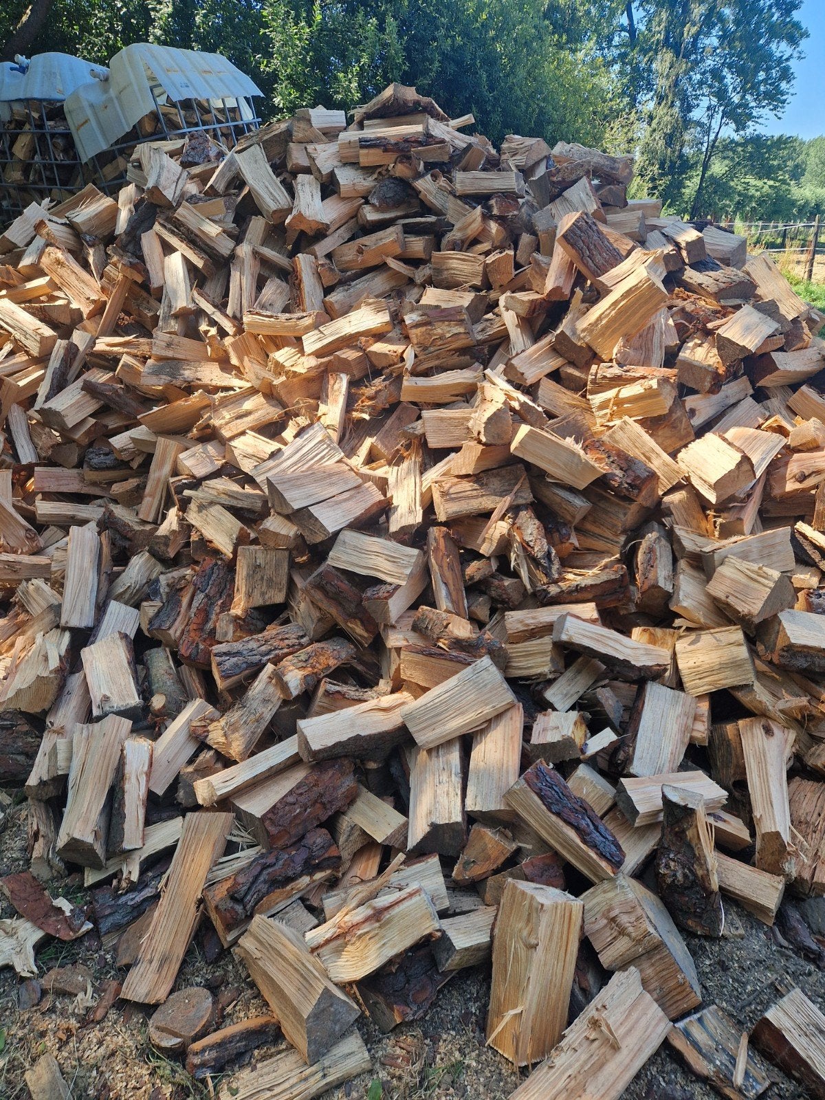 vers denne hout, Tuin en Terras, Brandhout, Ophalen