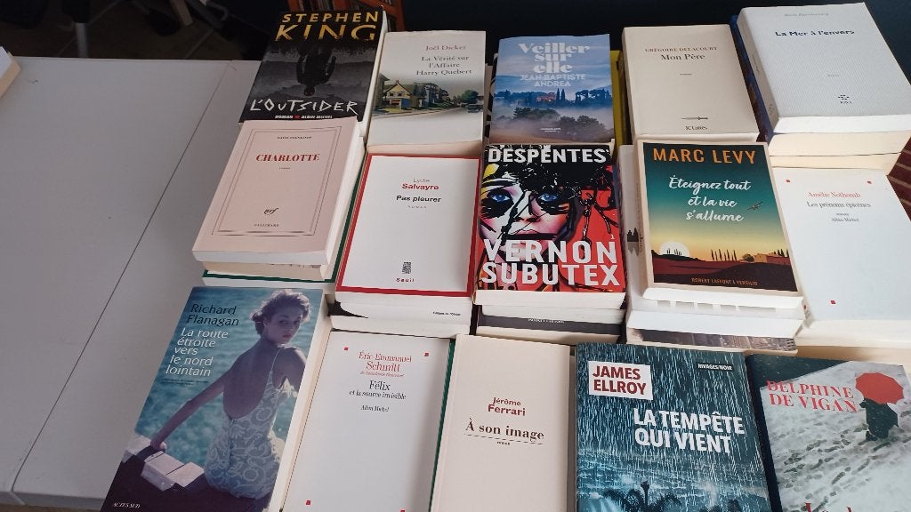 Lot de romans, Livres, Romans, Enlèvement, Comme neuf, Divers auteurs, Europe autre