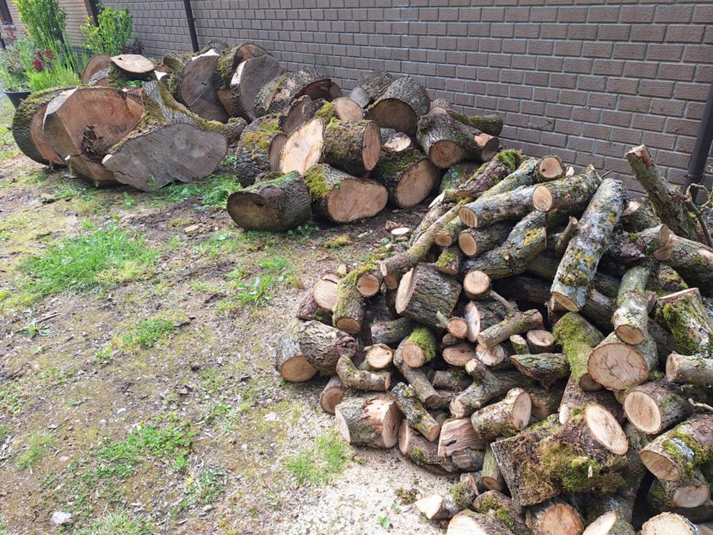 Brandhout Es, Tuin en Terras, Brandhout, Ophalen, Essenhout