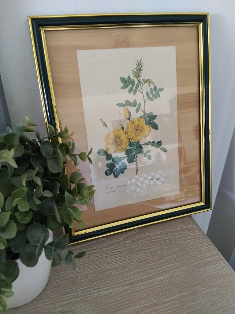 vintage wanddecoratie bloemprent achter glas, Vintage, Ophalen of Verzenden, Zo goed als nieuw, Achter glas
