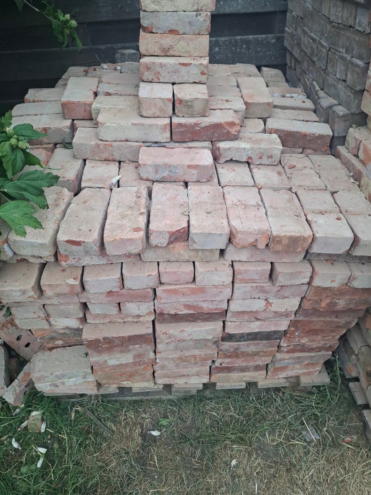 2000 stenen te koop, Doe-het-zelf en Bouw, Metselstenen, Ophalen, Gebruikt, Bakstenen