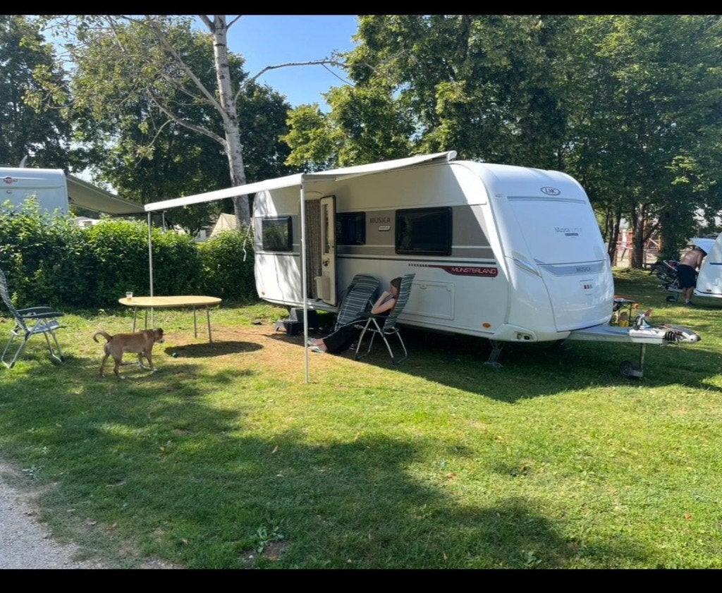 LMC MUSICA 480 E, 2 aparte bedden, 7 tot 8 meter, Particulier, 1000 - 1250 kg