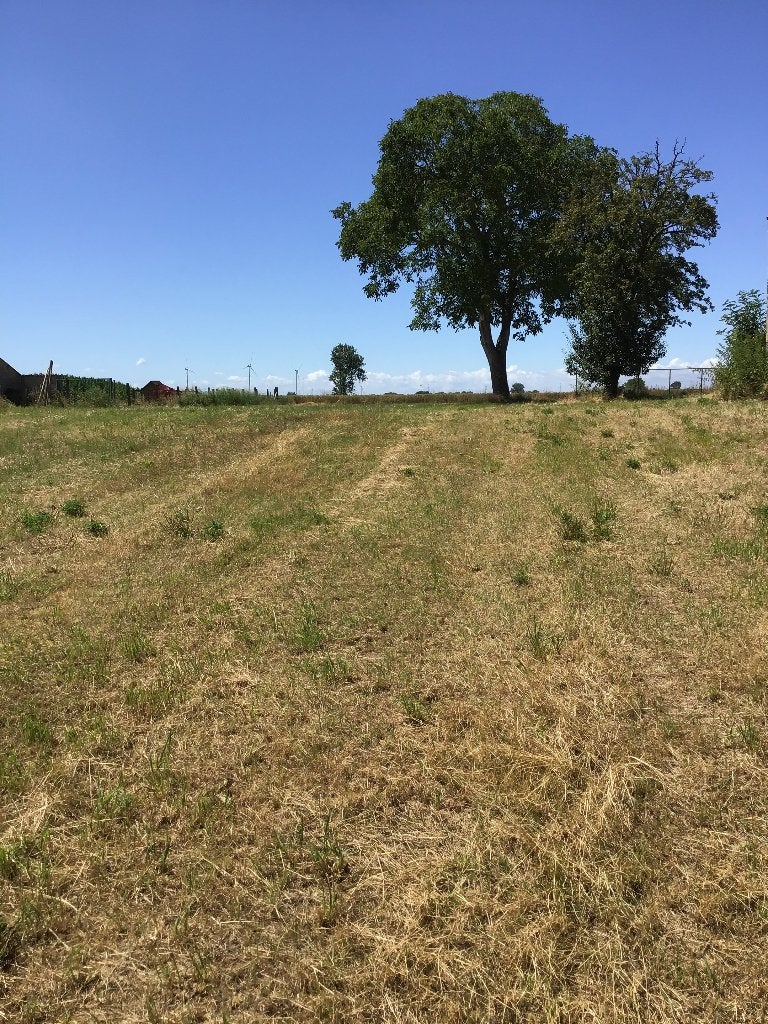 Bouwgrond, Bilzen, 1500 m² ou plus