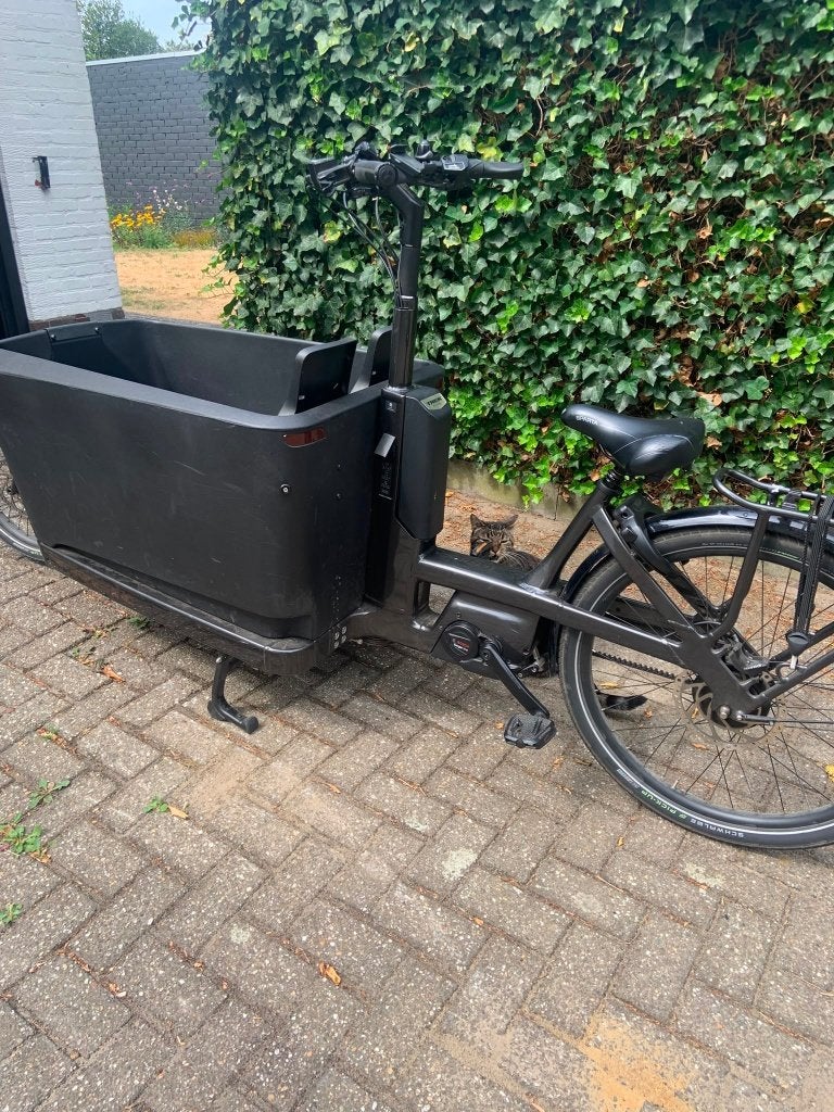 Bakfiets Trek Fetch+ 4, Autres marques, Bâche, Enlèvement, Utilisé