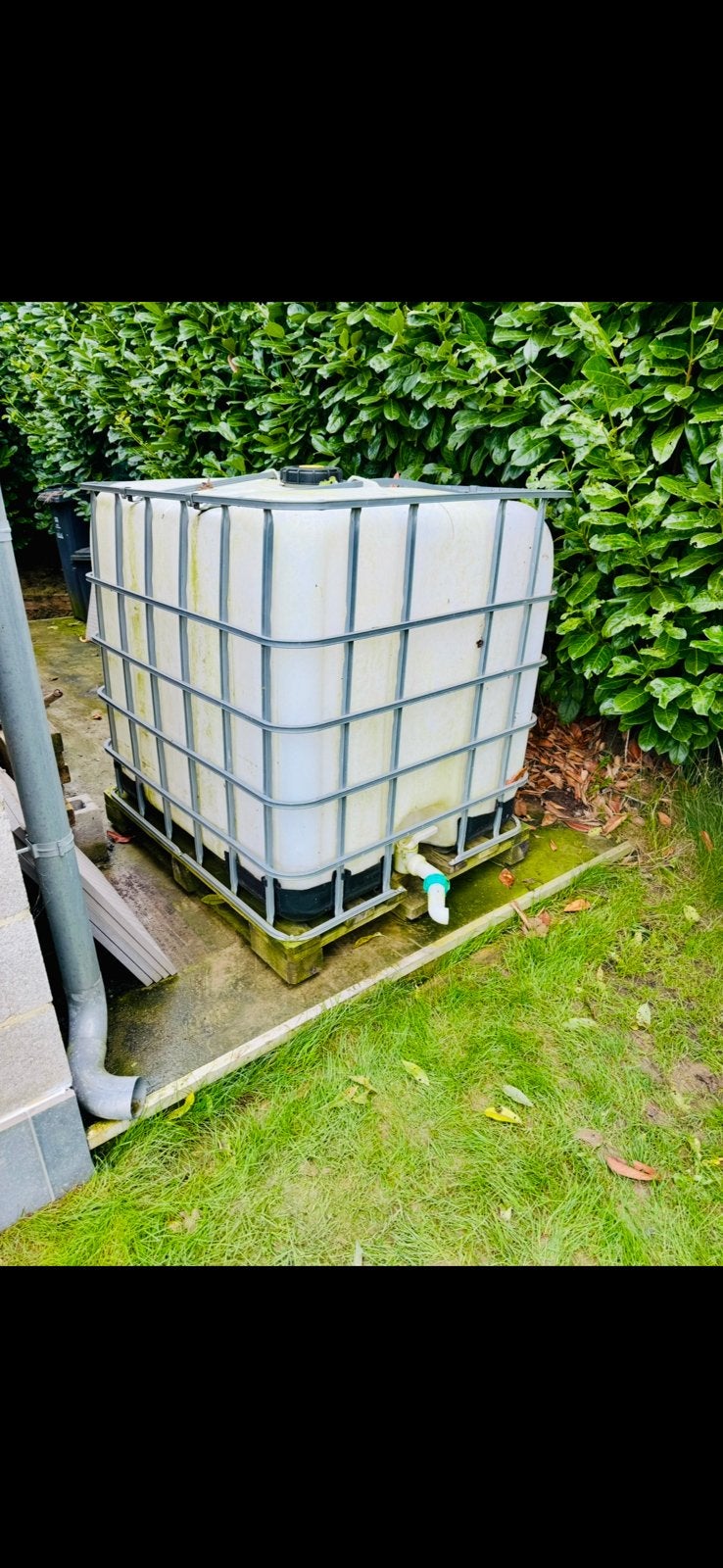 Cubi 1000l, Jardin & Terrasse, Arroseurs de jardin, Enlèvement