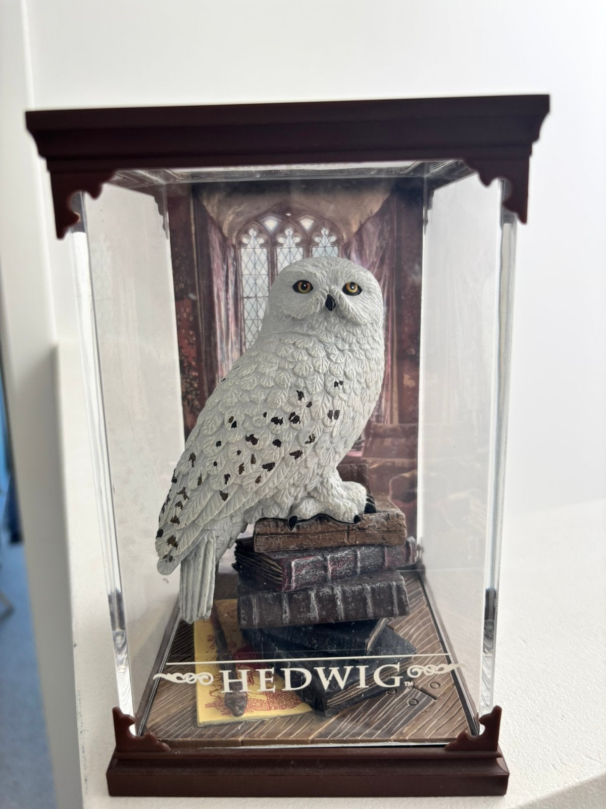 Harry potter hedwig, Ophalen