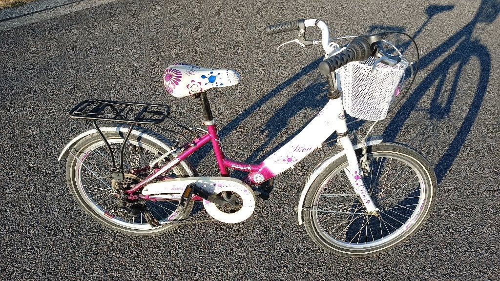 Meisjesfiets 20 inch met mandje, Gebruikt, Velgrem, Ophalen of Verzenden, 20 inch