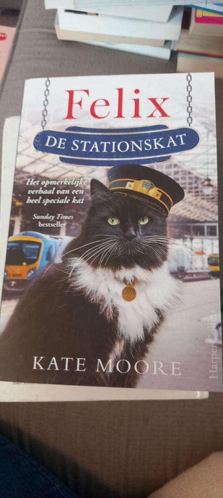 Kate Moore - Felix de stationskat, Ophalen of Verzenden, Kate Moore