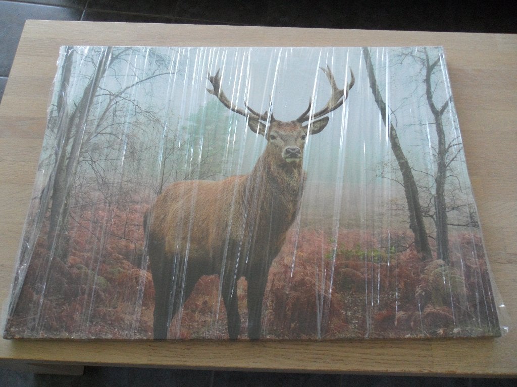 canvas, Huis en Inrichting, Ophalen, Nieuw, Foto of Poster